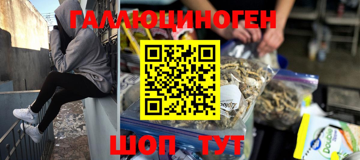Галлюциногенные грибы прущие грибы Камень-на-Оби
